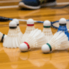 What the Color of Your Shuttlecock Means